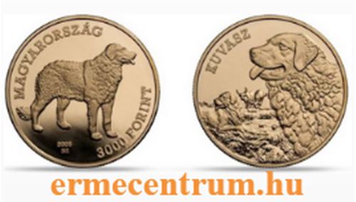 2025. Magyar kutyafajták - Kuvasz  - színesfém érme